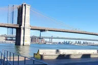 Brooklyn Historical Walking Tour thumbnail 1