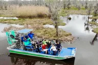 New Orleans Airboat Swamp & City Tour Combo thumbnail 1