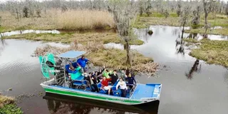 New Orleans Airboat Swamp & City Tour Combo