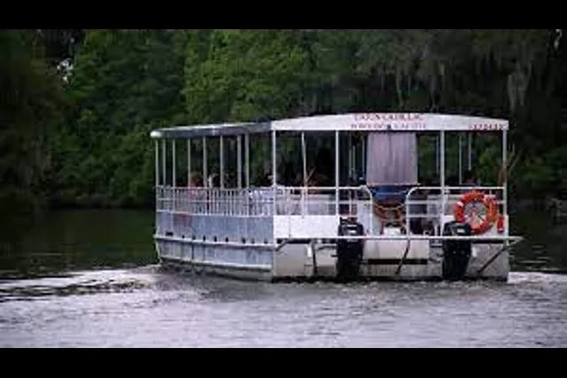 New Orleans Plantation and Swamp Tour Full-Day - Image 2