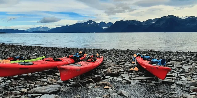 Seward Kayak Tour to Bridal Veil Falls 5 hr - Image 4