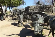 Dallas City Highlights Tour thumbnail 2
