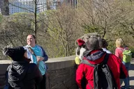 New York Central Park Walking Tour thumbnail 5