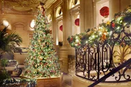 Chicago Holiday Walking Tour thumbnail 6