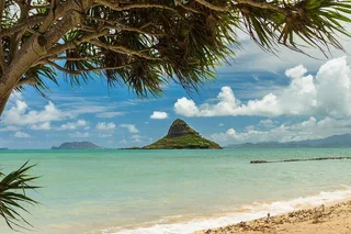 Oahu Private Island Tour