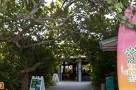 Fort Lauderdale Beach Food Tour thumbnail 5