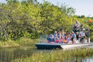 Miami Everglades Airboat Tour 4 hr thumbnail 6