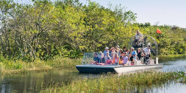 Miami Everglades Airboat Tour 4 hr - Image 6