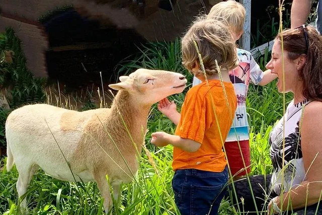 Magical Creatures Sanctuary Tour - Image 1