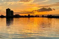 Orange Beach Dolphin Watching Tour thumbnail 2