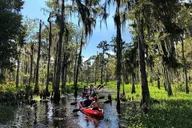Manchac Swamp Kayak Tour with Pickup 4 hr thumbnail 3