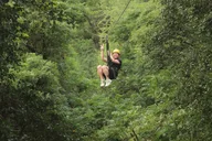 Waikiki Zipline Adventure with Transportation thumbnail 6