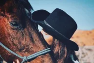 Las Vegas Horseback Ride with BBQ Dinner thumbnail 4