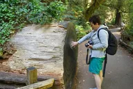San Francisco Muir Woods and Sausalito Guided Tour thumbnail 4