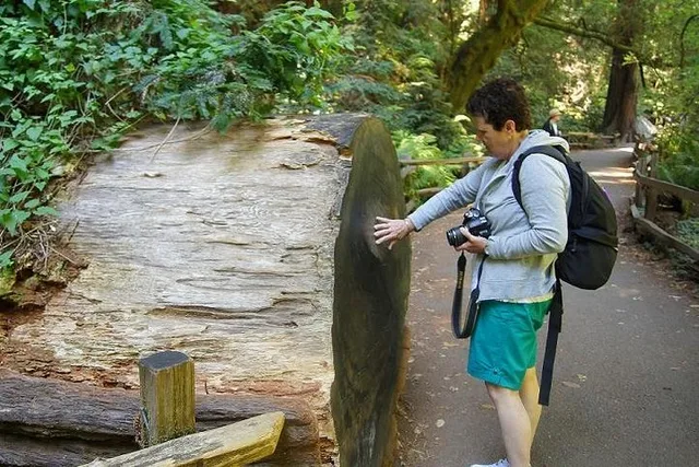San Francisco Muir Woods and Sausalito Guided Tour - Image 4