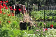 Napa Valley Farm Workshop thumbnail 2