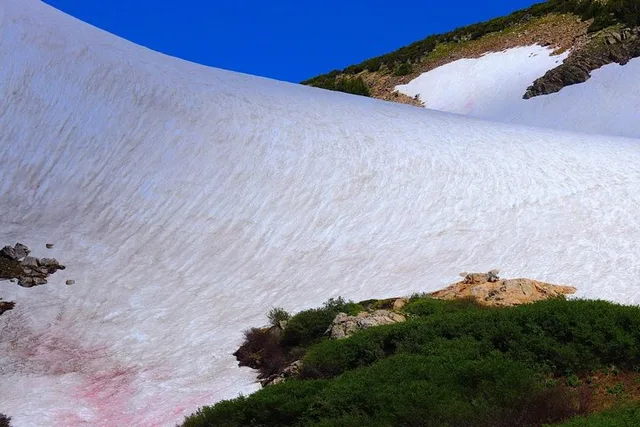 Denver Glacier Hiking and Geothermal Cave Pools - Image 2