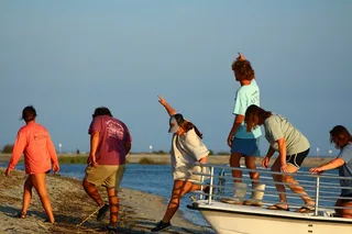 Charleston Eco Boat Excursion to Morris Island