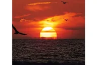 Newport Beach Sunset Cruise thumbnail 2