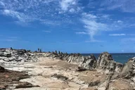 Maui Customized Half Day Tour thumbnail 4
