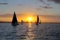 San Diego Bay Sunset Sailing Tour thumbnail 1