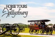 Gettysburg Horse-Drawn Carriage Battlefield Tour thumbnail 1