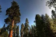 San Francisco Yosemite Private Tour thumbnail 4