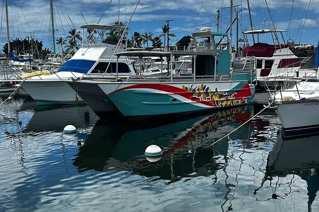 Kona Whale Watching Tour - Image 6