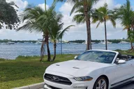 Miami Keys Convertible Mustang Tour thumbnail 1
