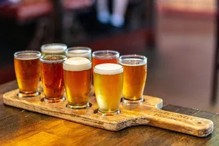 Fort Collins Brewery Bus Tour