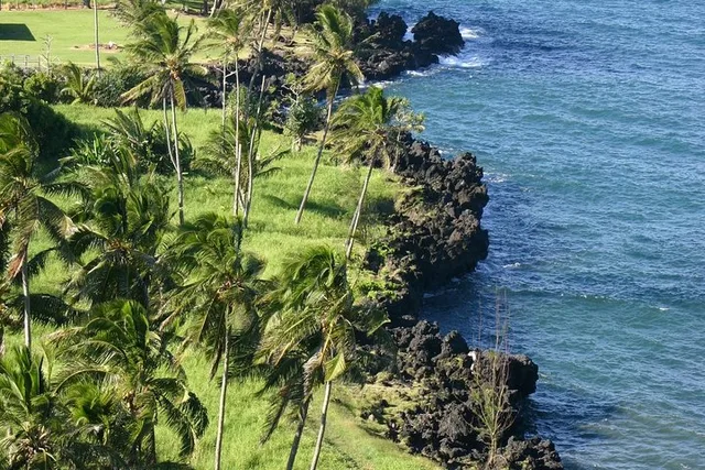 Hana Road and Ka'eleku Cavern Tour - Image 3