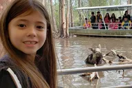 New Orleans Honey Island Swamp Boat Tour thumbnail 2