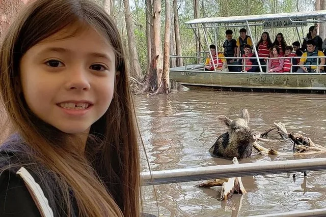 New Orleans Honey Island Swamp Boat Tour - Image 2