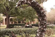 Tuscaloosa Walking Tour of University of Alabama thumbnail 5
