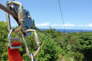 Maui Zipline Eco Adventure