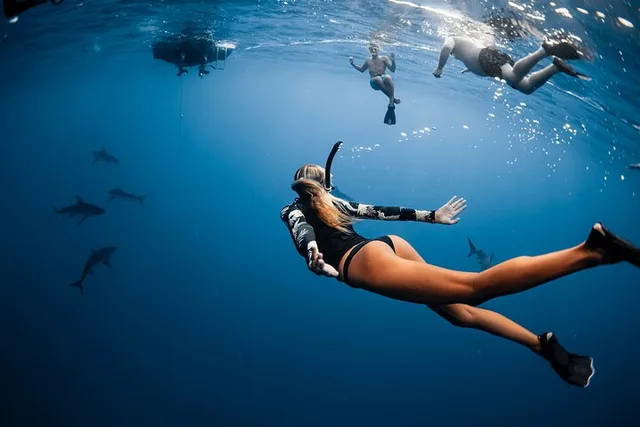 Oahu Shark Diving Experience - Image 2