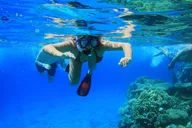 Key Largo Snorkeling Activity thumbnail 2