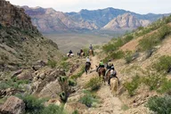Las Vegas Horseback Riding in Red Rock Canyon 2 hr thumbnail 6