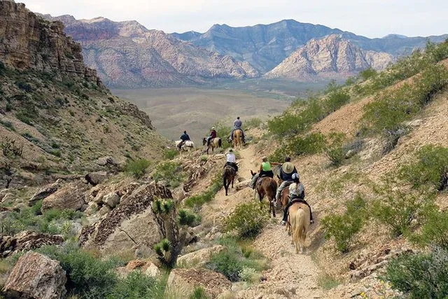 Las Vegas Horseback Riding in Red Rock Canyon 2 hr - Image 6