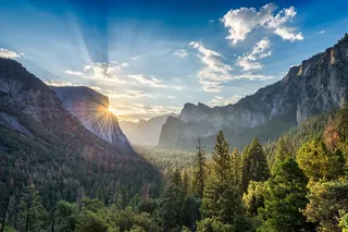 Yosemite Valley and Glacier Point Private Tour