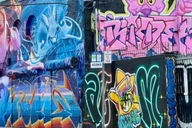 Miami Street Art Tour in Wynwood (2 hr) thumbnail 6