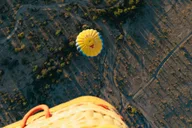 Phoenix Hot Air Balloon Ride with Champagne thumbnail 5