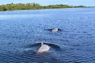 Daytona Beach Coastal Discovery Cruise 90 min thumbnail 1