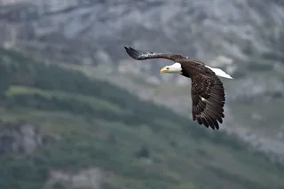Haines Photography Tour from Skagway