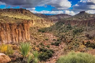 Laughlin Horseback Riding with Scenic Views