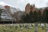 Washington, DC Georgetown Architecture Walking Tour thumbnail 4