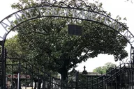 New Orleans Private Vehicle City Tour thumbnail 5