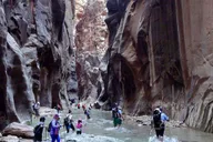 Yellowstone and Southern Utah 9-Day Tour thumbnail 5