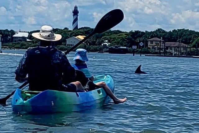 St. Augustine Dolphin Kayak Tour - Image 2