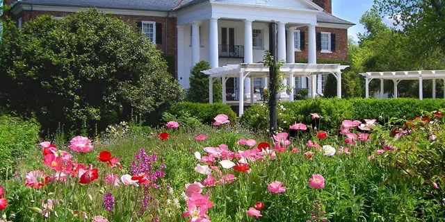 Charleston Boone Hall Plantation Tour with Transfers - Image 1